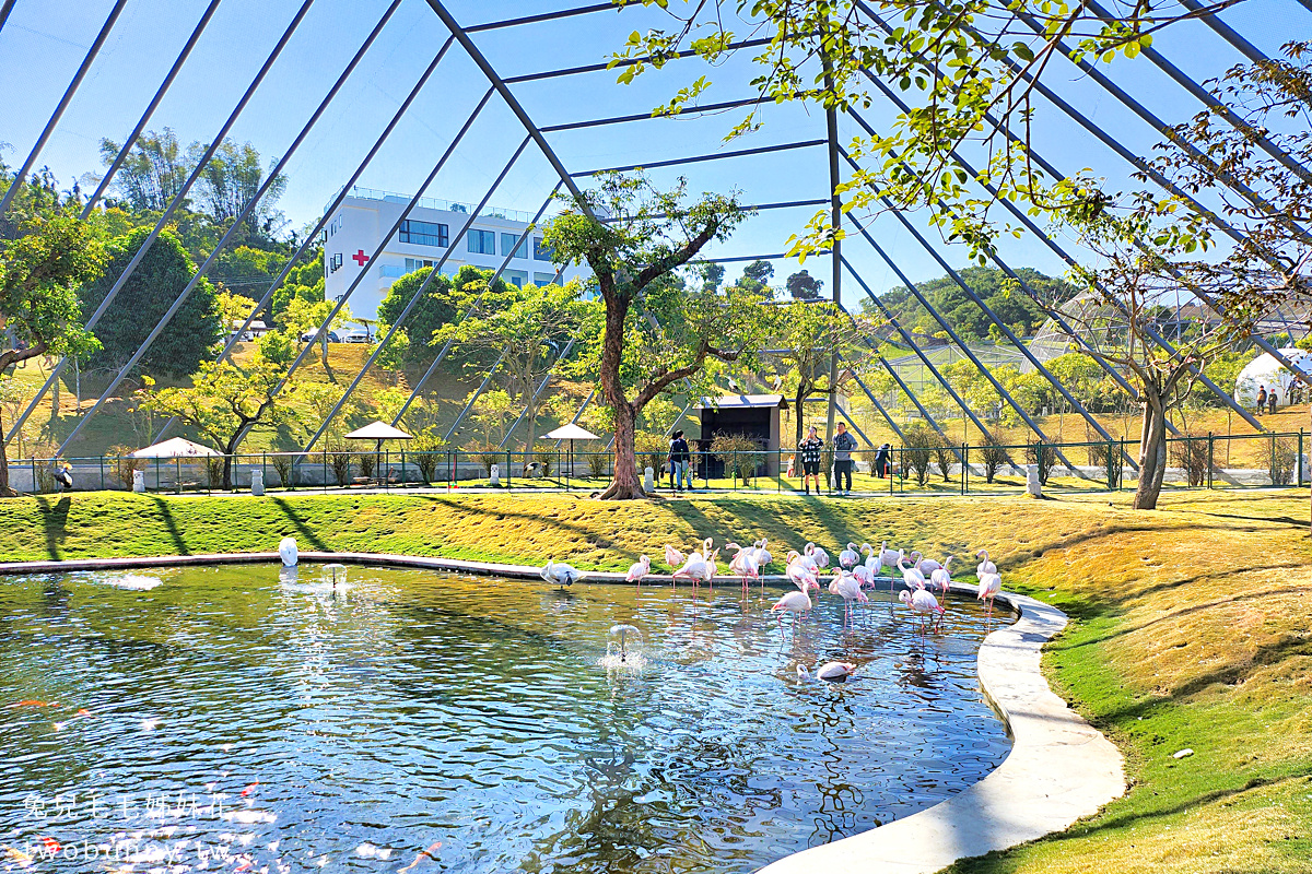 九九峰動物樂園｜亞洲最大鳥類主題樂園在南投!! 也有其他可愛動物和恐龍 @兔兒毛毛姊妹花