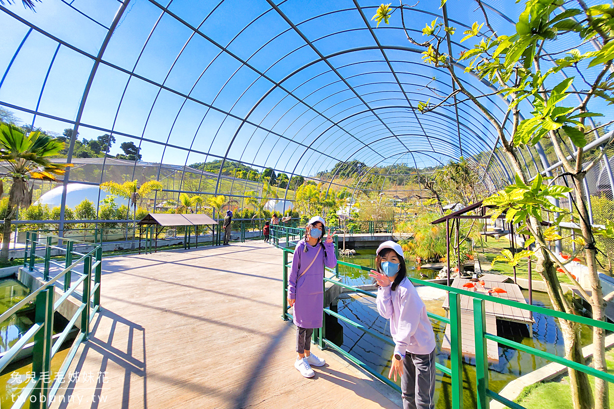 九九峰動物樂園｜亞洲最大鳥類主題樂園在南投!! 也有其他可愛動物和恐龍 @兔兒毛毛姊妹花