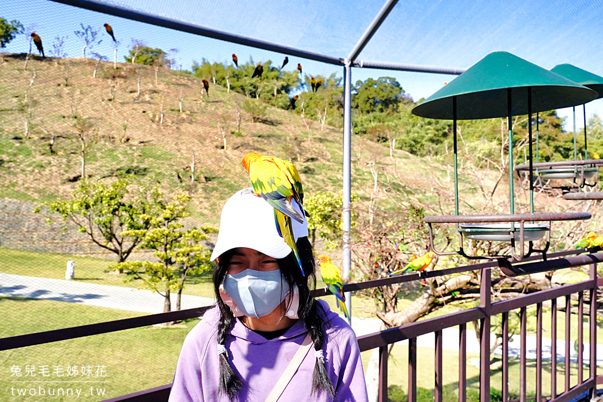 九九峰動物樂園｜亞洲最大鳥類主題樂園在南投!! 也有其他可愛動物和恐龍 @兔兒毛毛姊妹花