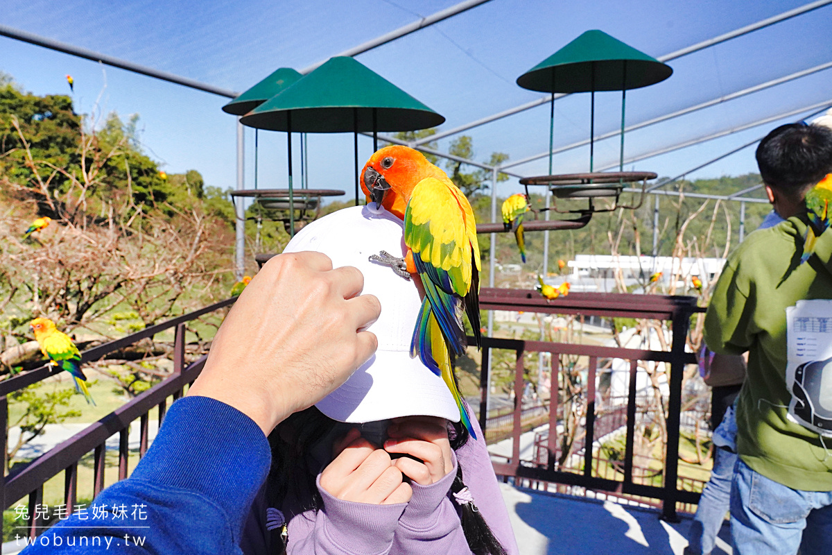 九九峰動物樂園｜亞洲最大鳥類主題樂園在南投!! 也有其他可愛動物和恐龍 @兔兒毛毛姊妹花