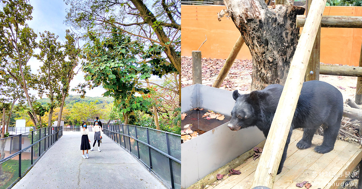 高雄親子景點》壽山動物園2.0~全新天空步道、觀察廊道，獼猴陪吃體驗太難忘 @兔兒毛毛姊妹花