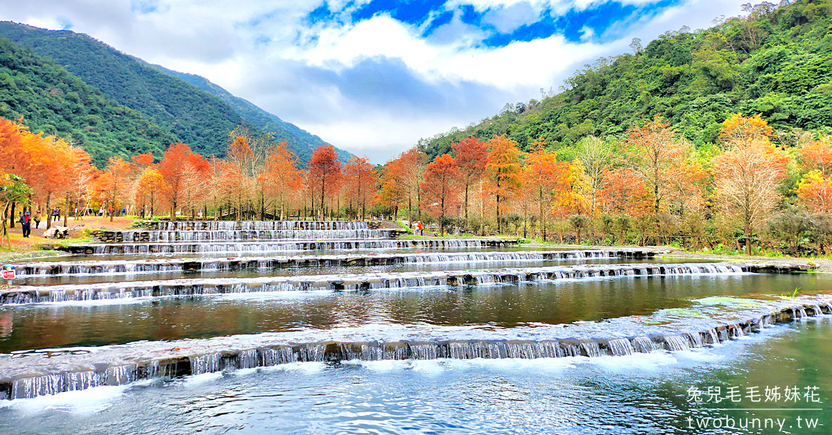 【三層坪落羽松】宜蘭三層坪水土保持農塘教育園區・2025預約方式、入園規定與落羽松美景攻略 @兔兒毛毛姊妹花
