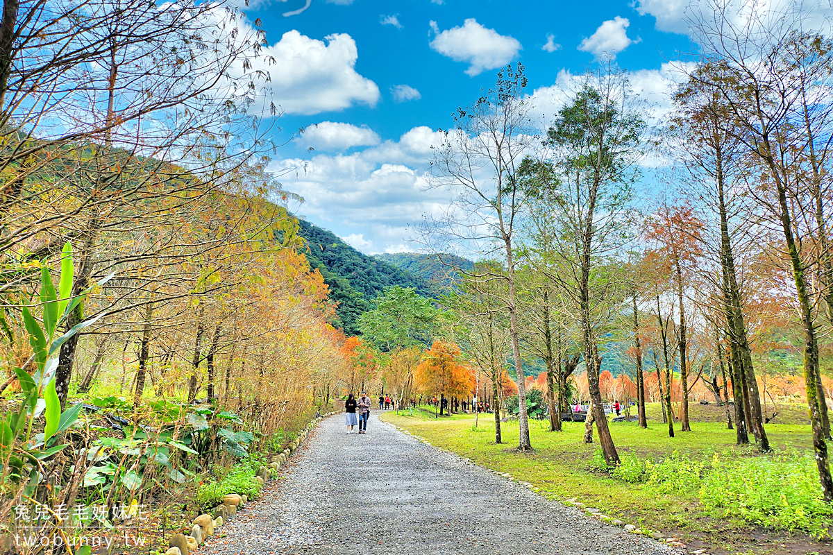 宜蘭落羽松》三層坪水土保持農塘教育園區～九層疊瀑水塘落羽松秘境｜最新預約及候補方式 @兔兒毛毛姊妹花