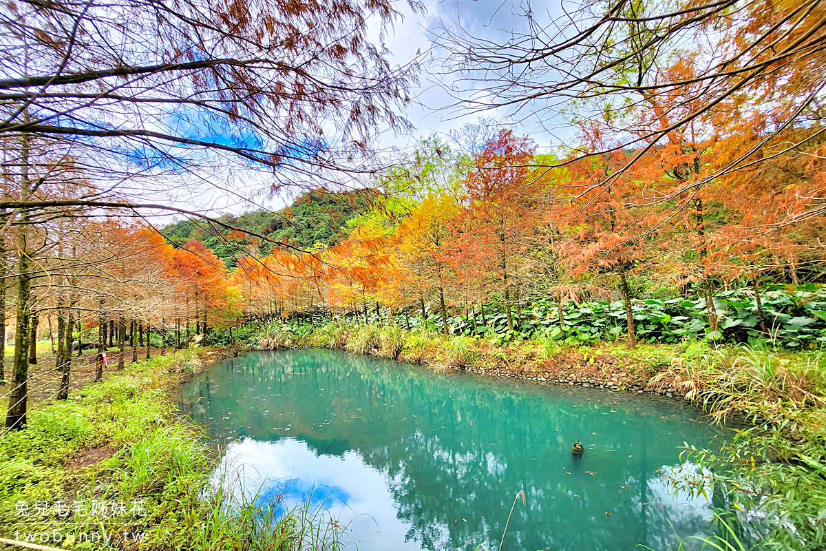 宜蘭落羽松》三層坪水土保持農塘教育園區～九層疊瀑水塘落羽松秘境｜最新預約及候補方式 @兔兒毛毛姊妹花