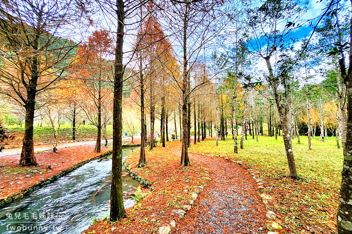 宜蘭落羽松》三層坪水土保持農塘教育園區～九層疊瀑水塘落羽松秘境｜最新預約及候補方式 @兔兒毛毛姊妹花