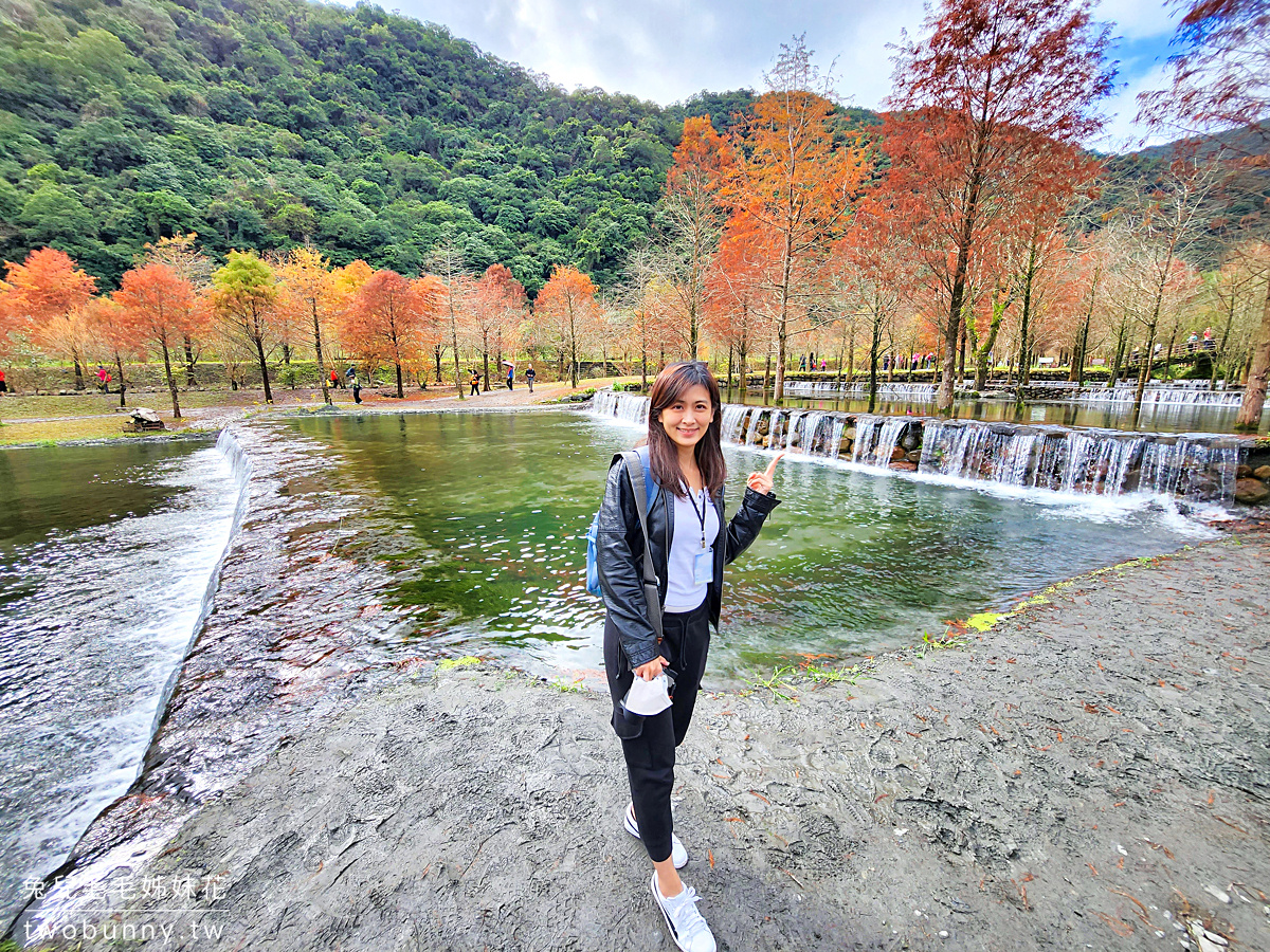 宜蘭落羽松》三層坪水土保持農塘教育園區～九層疊瀑水塘落羽松秘境｜最新預約及候補方式 @兔兒毛毛姊妹花