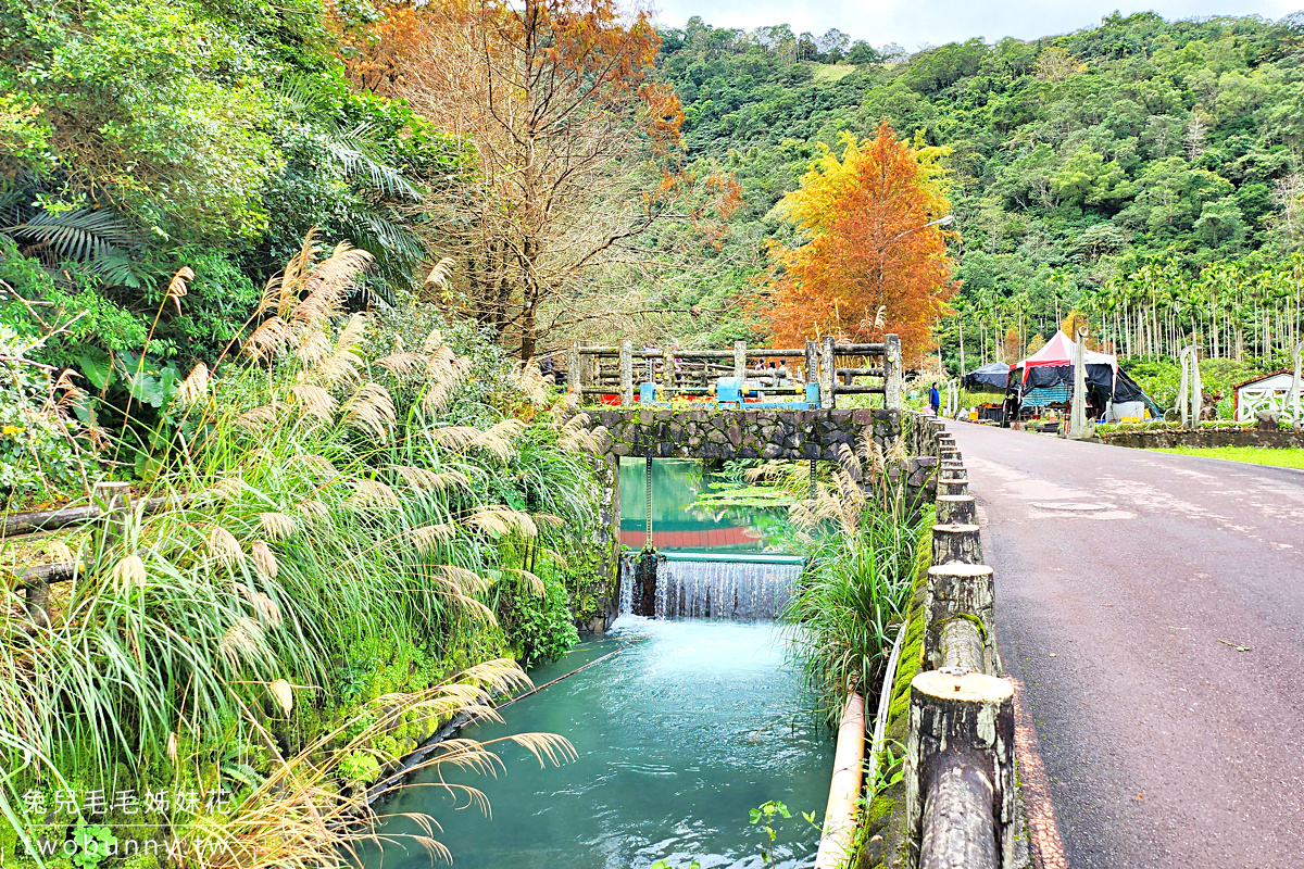 宜蘭落羽松【望龍埤】綠色湖水、紅色曲橋搭配湖畔落羽松就是美，宜蘭員山免費景點 @兔兒毛毛姊妹花