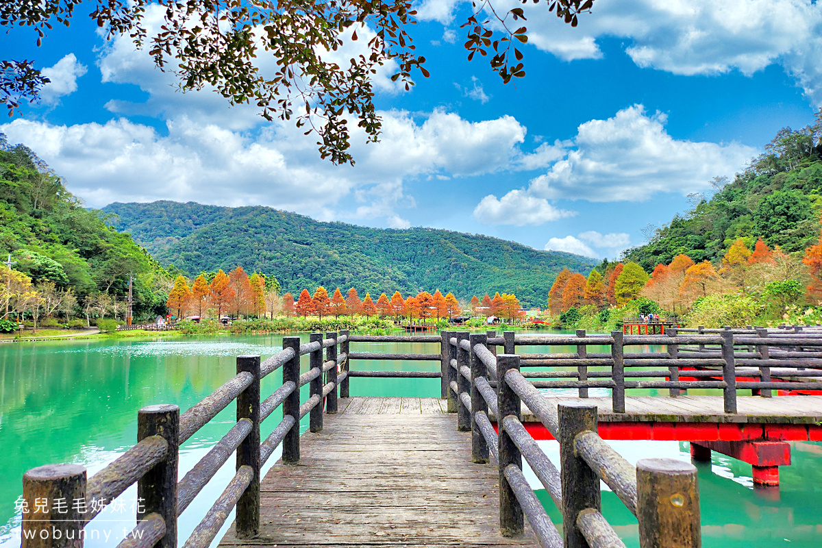 宜蘭落羽松【望龍埤】綠色湖水、紅色曲橋搭配湖畔落羽松就是美，宜蘭員山免費景點 @兔兒毛毛姊妹花