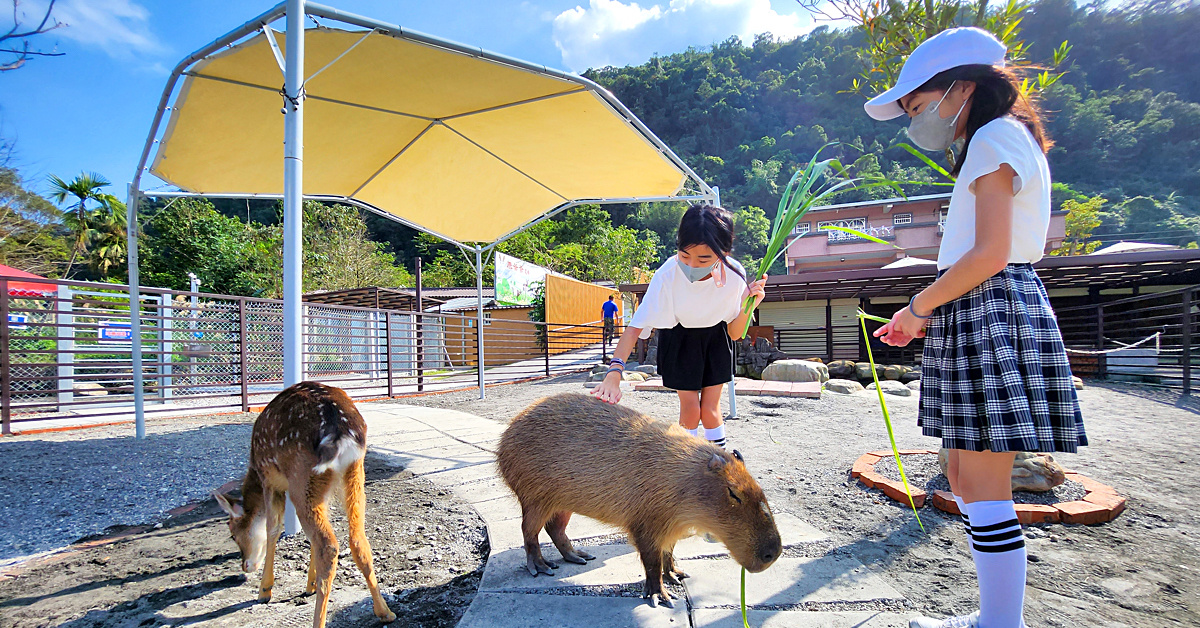 宜蘭三星景點【長埤湖精靈村】長埤湖風景區~穿浴衣、餵動物、暢遊抹茶湖 @兔兒毛毛姊妹花