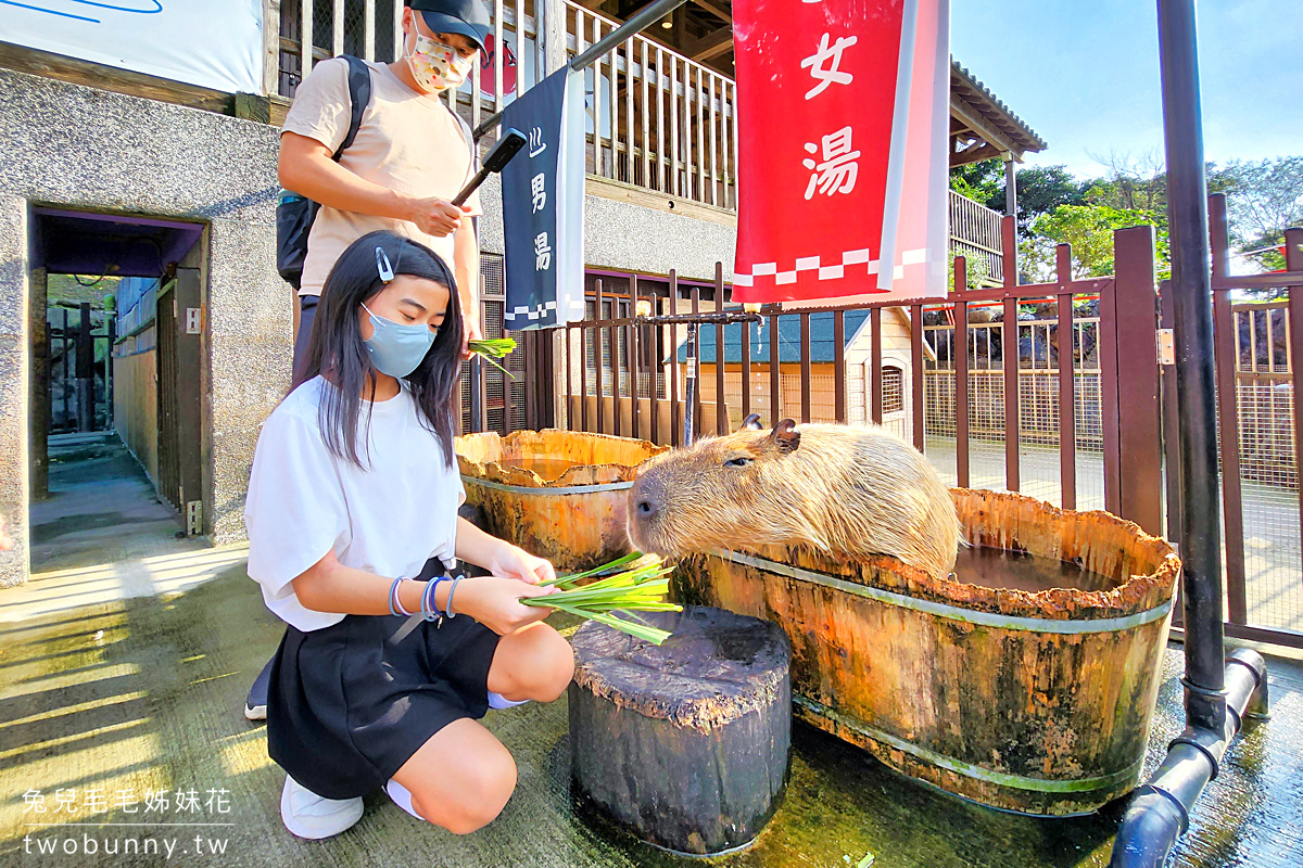 綠舞國際觀光飯店｜宜蘭五結親子飯店日式浴衣體驗、可愛萌寵互動、嗨翻天跳跳床 @兔兒毛毛姊妹花