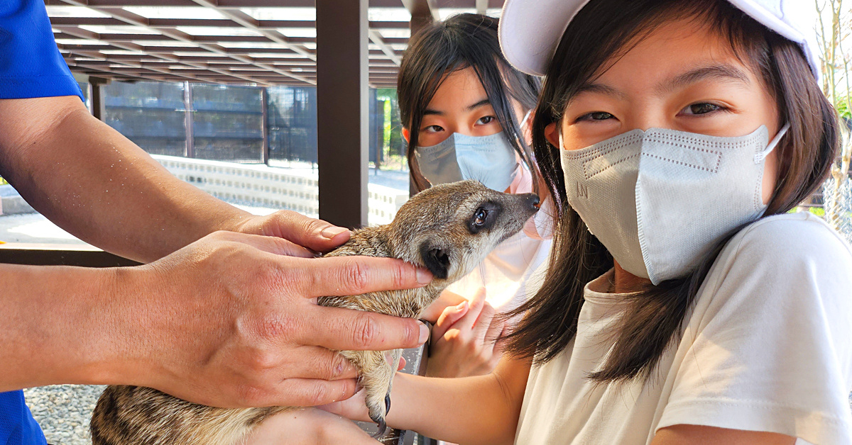 宜蘭動物農場｜超過20個宜蘭餵動物好地方，來和可愛動物親密互動吧～ @兔兒毛毛姊妹花