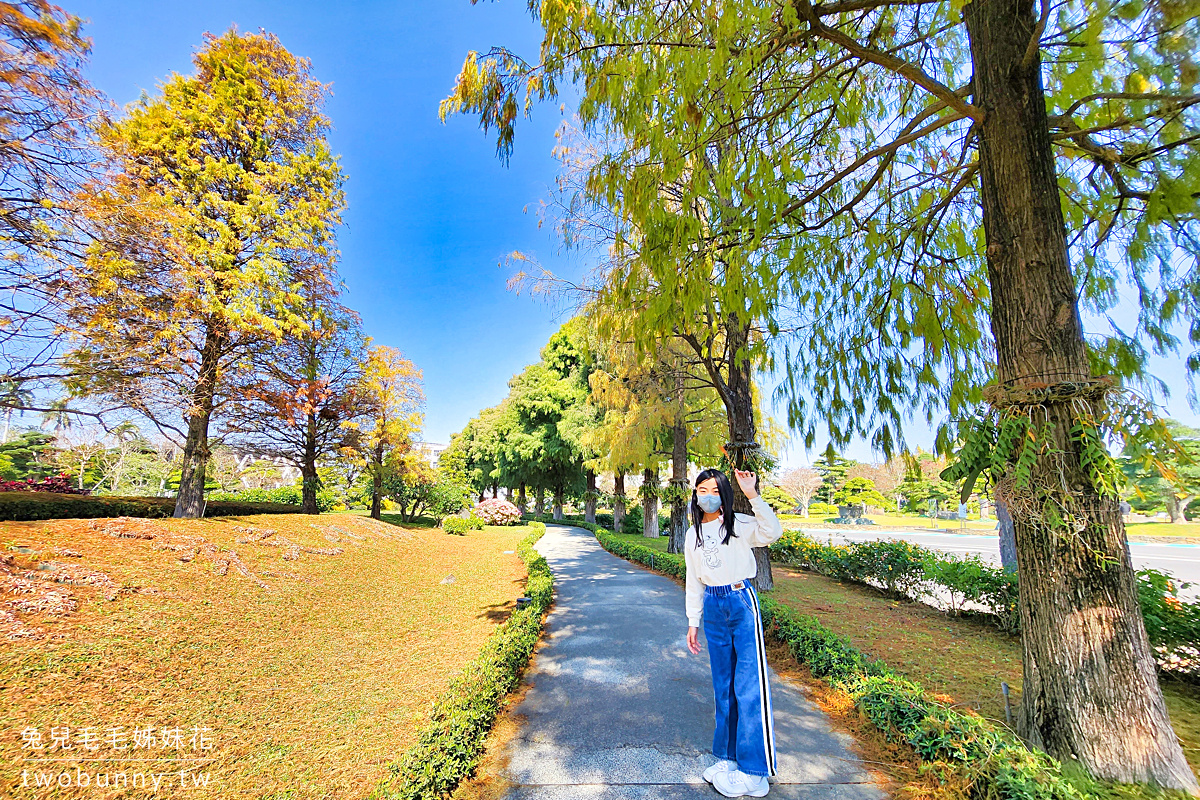 彰化景點【成美文化園】台版兼六園好美好好拍，落羽松大道超夢幻 @兔兒毛毛姊妹花