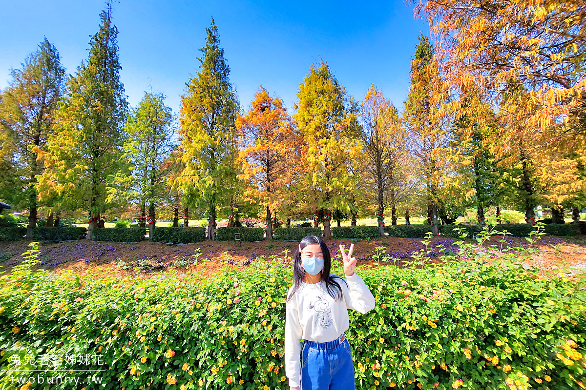 彰化景點【成美文化園】台版兼六園好美好好拍，落羽松大道超夢幻 @兔兒毛毛姊妹花