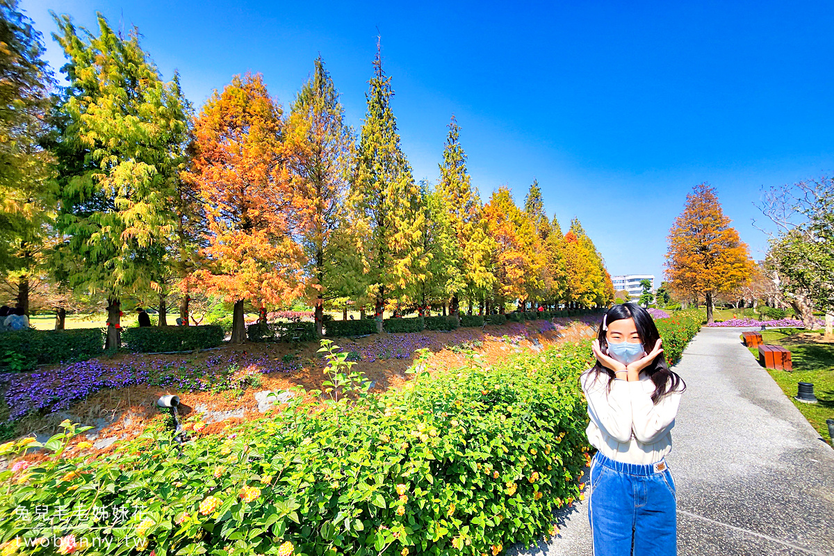 彰化景點【成美文化園】台版兼六園好美好好拍，落羽松大道超夢幻 @兔兒毛毛姊妹花