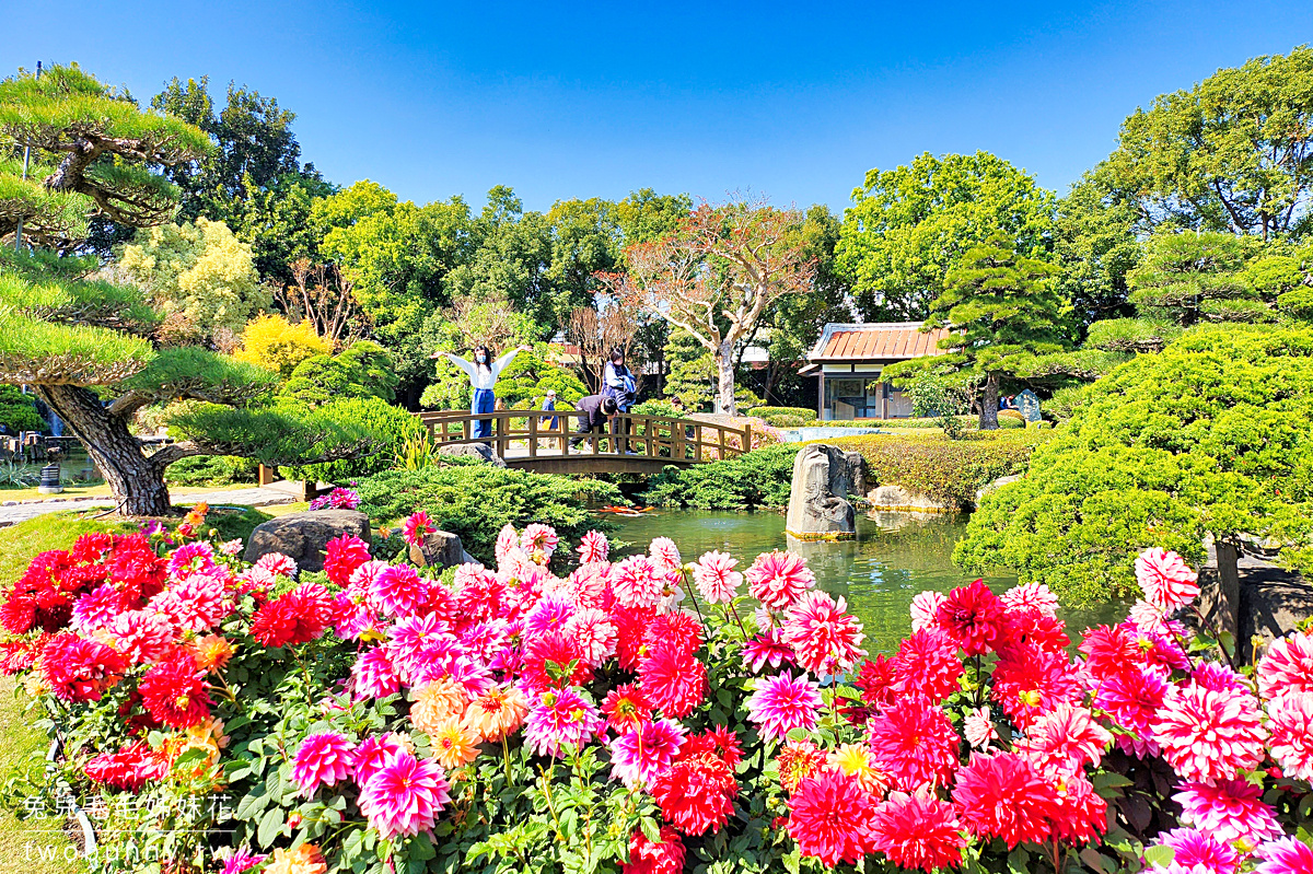 彰化景點【成美文化園】台版兼六園好美好好拍，落羽松大道超夢幻 @兔兒毛毛姊妹花