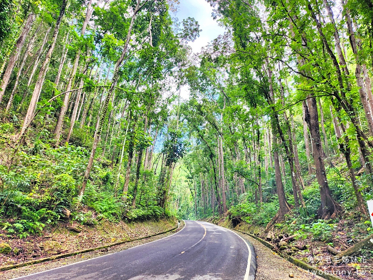 薄荷島景點》薄荷島陸地一日遊 Top 6 景點～竹筏餐廳、高空溜索、人造森林、看眼鏡猴、巧克力山 @兔兒毛毛姊妹花