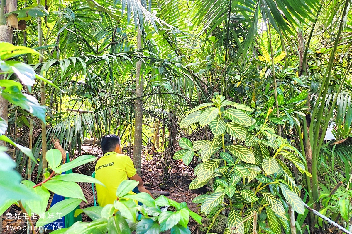 薄荷島景點》眼鏡猴保護區 Tarsier Conservation Area～來看菲律賓獨有、瀕臨絕種動物。順遊Bilar人造林 @兔兒毛毛姊妹花