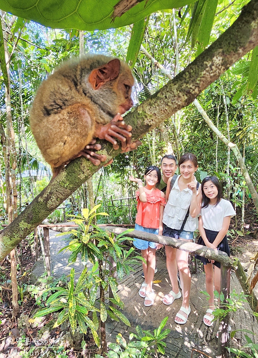 薄荷島景點》眼鏡猴保護區 Tarsier Conservation Area～來看菲律賓獨有、瀕臨絕種動物。順遊Bilar人造林 @兔兒毛毛姊妹花