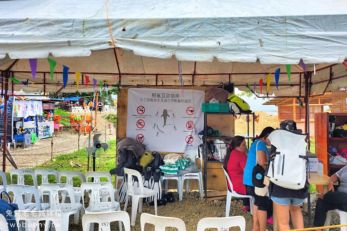 薄荷島景點》萊拉鯨鯊共游 LILA Taug Whaleshark Watching and Snorkeling~全新薄荷島鯨鯊村 @兔兒毛毛姊妹花