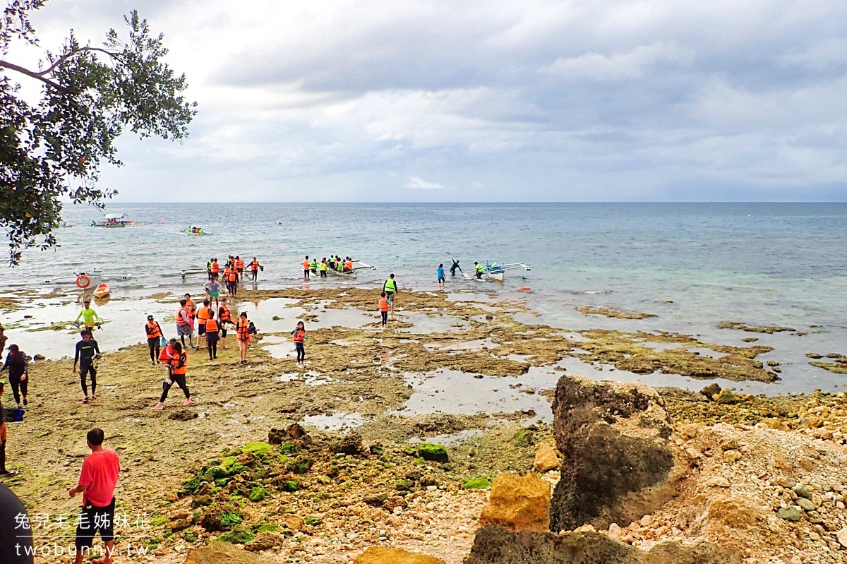 薄荷島景點》萊拉鯨鯊共游 LILA Taug Whaleshark Watching and Snorkeling~全新薄荷島鯨鯊村 @兔兒毛毛姊妹花