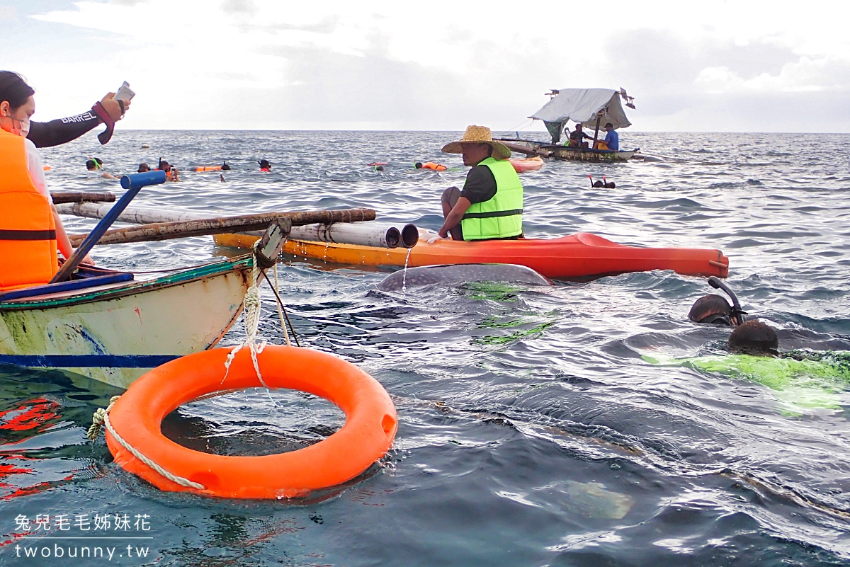 薄荷島景點》萊拉鯨鯊共游 LILA Taug Whaleshark Watching and Snorkeling~全新薄荷島鯨鯊村 @兔兒毛毛姊妹花