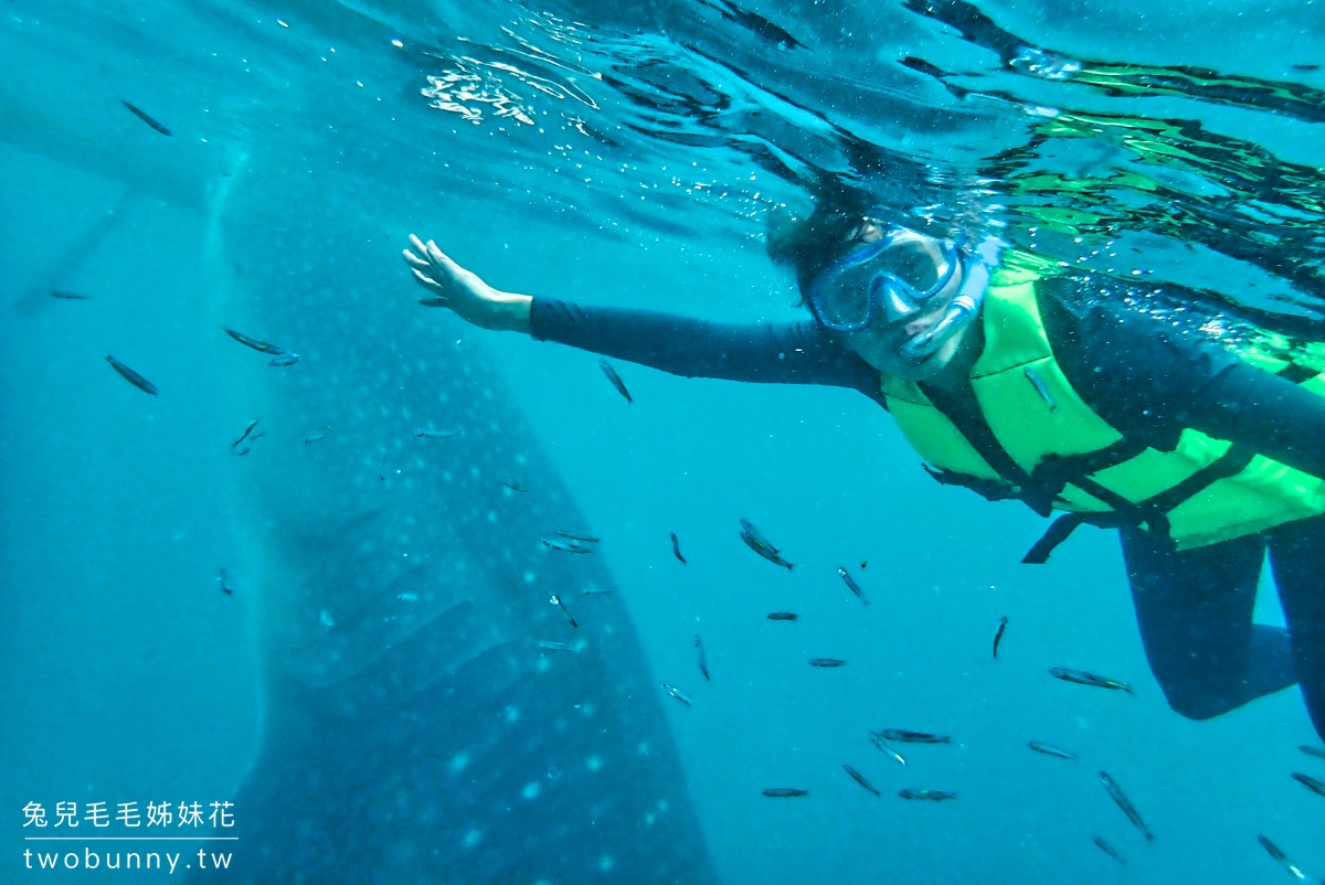 薄荷島景點》萊拉鯨鯊共游 LILA Taug Whaleshark Watching and Snorkeling~全新薄荷島鯨鯊村 @兔兒毛毛姊妹花