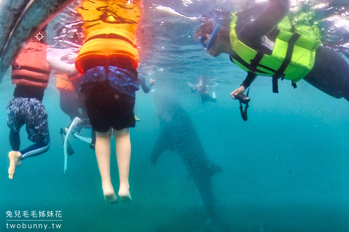 薄荷島景點》萊拉鯨鯊共游 LILA Taug Whaleshark Watching and Snorkeling~全新薄荷島鯨鯊村 @兔兒毛毛姊妹花