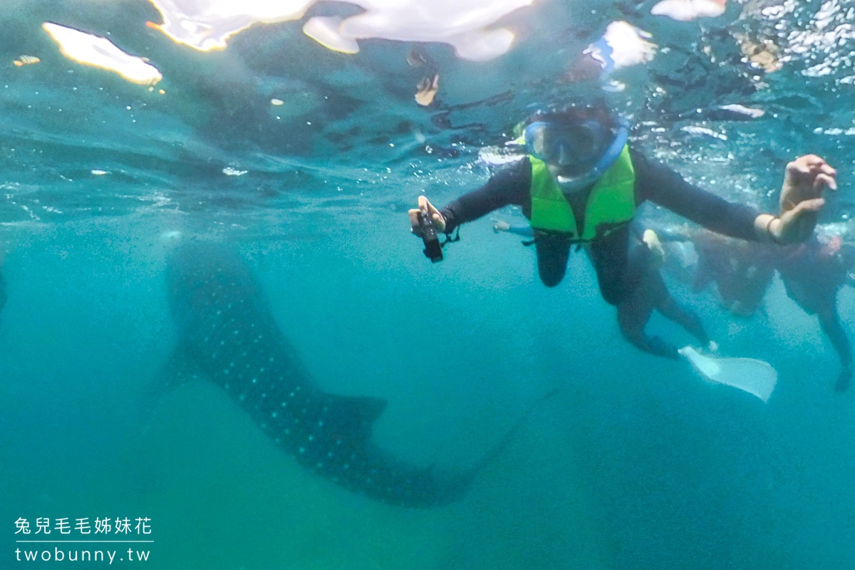 薄荷島景點》萊拉鯨鯊共游 LILA Taug Whaleshark Watching and Snorkeling~全新薄荷島鯨鯊村 @兔兒毛毛姊妹花