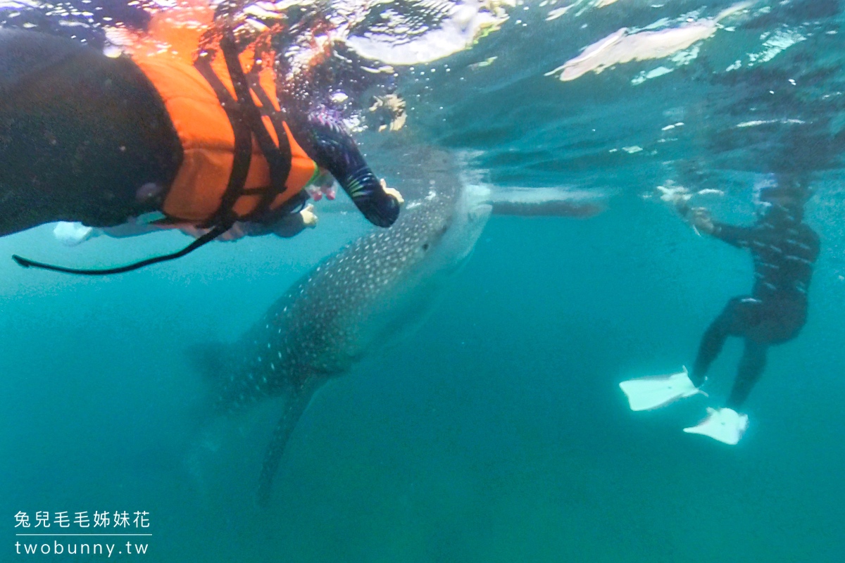 薄荷島景點》萊拉鯨鯊共游 LILA Taug Whaleshark Watching and Snorkeling~全新薄荷島鯨鯊村 @兔兒毛毛姊妹花