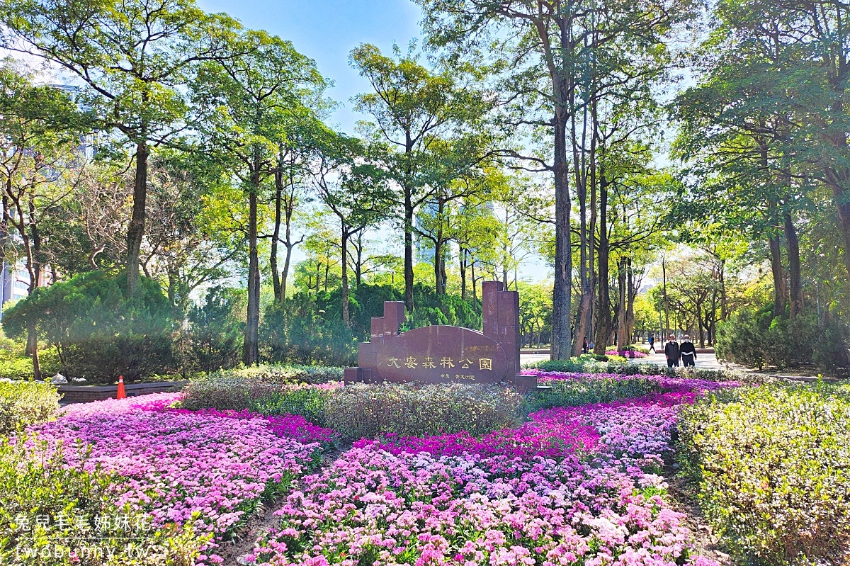 2024大安森林公園繡球花季｜捷運就能到的台北免費花海，森林之王遊戲區遛小孩 @兔兒毛毛姊妹花