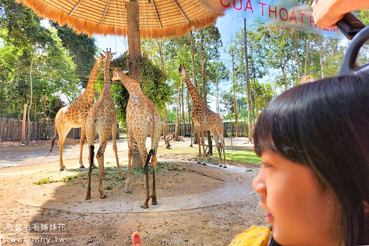 富國島珍珠野生動物園 Vinpearl Safari Phu Quoc｜長頸鹿、環尾狐猴都能近距離餵食 @兔兒毛毛姊妹花