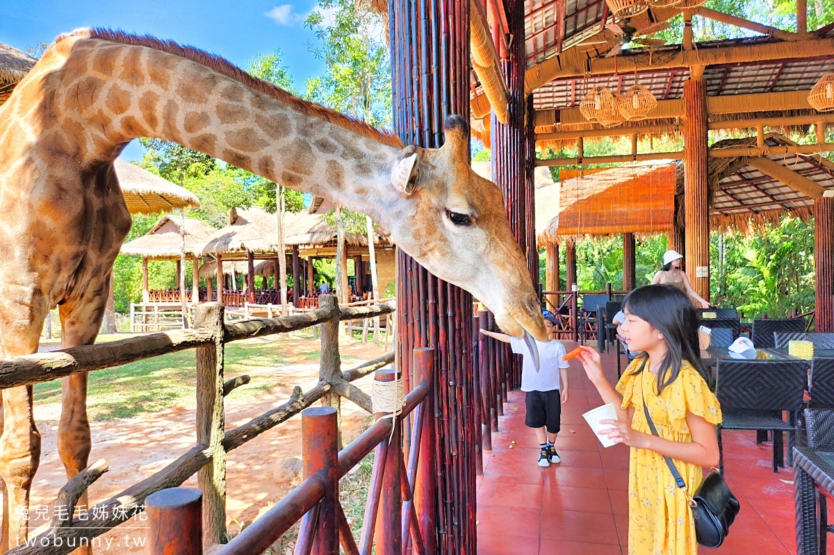 富國島珍珠野生動物園 Vinpearl Safari Phu Quoc｜長頸鹿、環尾狐猴都能近距離餵食 @兔兒毛毛姊妹花