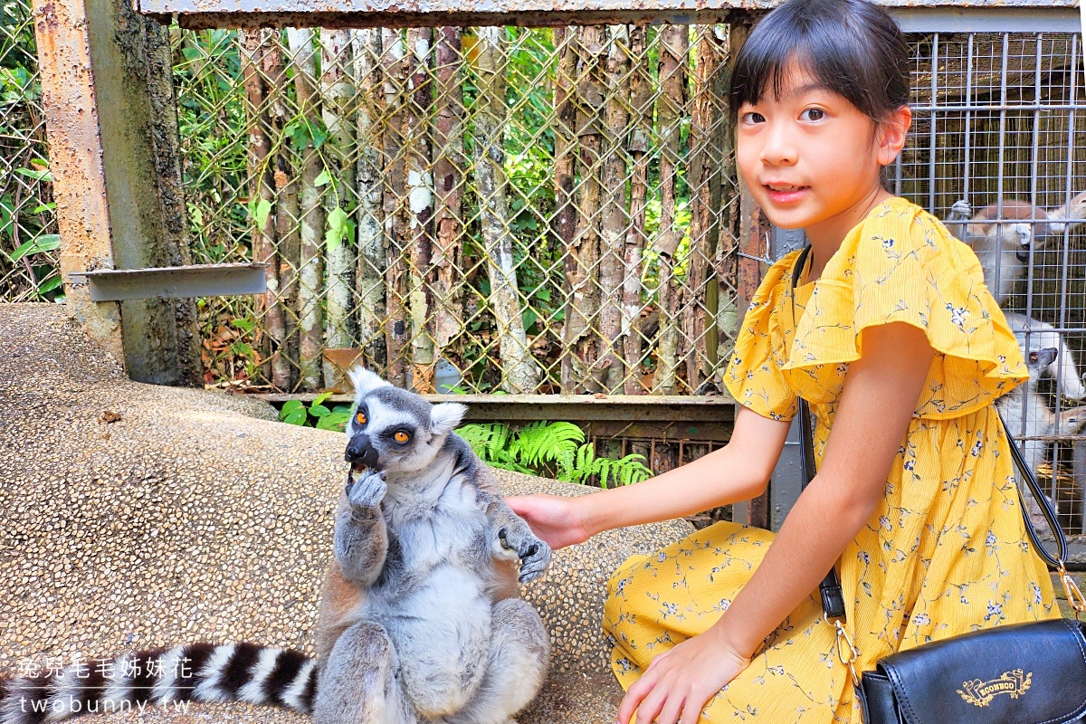 富國島珍珠野生動物園 Vinpearl Safari Phu Quoc｜長頸鹿、環尾狐猴都能近距離餵食 @兔兒毛毛姊妹花