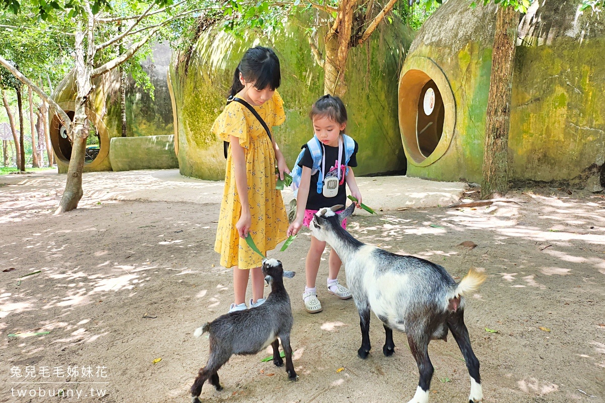 富國島珍珠野生動物園 Vinpearl Safari Phu Quoc｜長頸鹿、環尾狐猴都能近距離餵食 @兔兒毛毛姊妹花