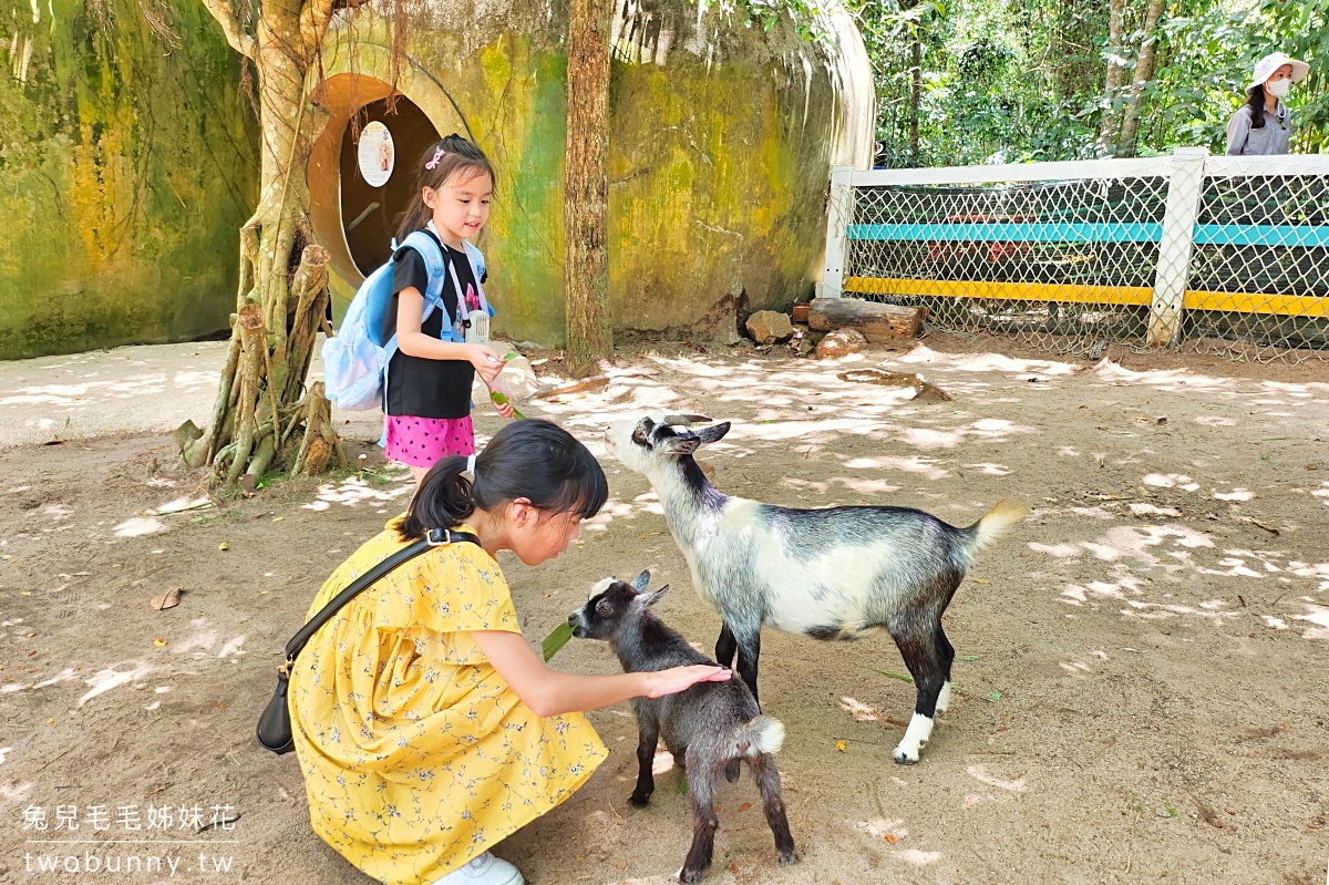 富國島珍珠野生動物園 Vinpearl Safari Phu Quoc｜長頸鹿、環尾狐猴都能近距離餵食 @兔兒毛毛姊妹花