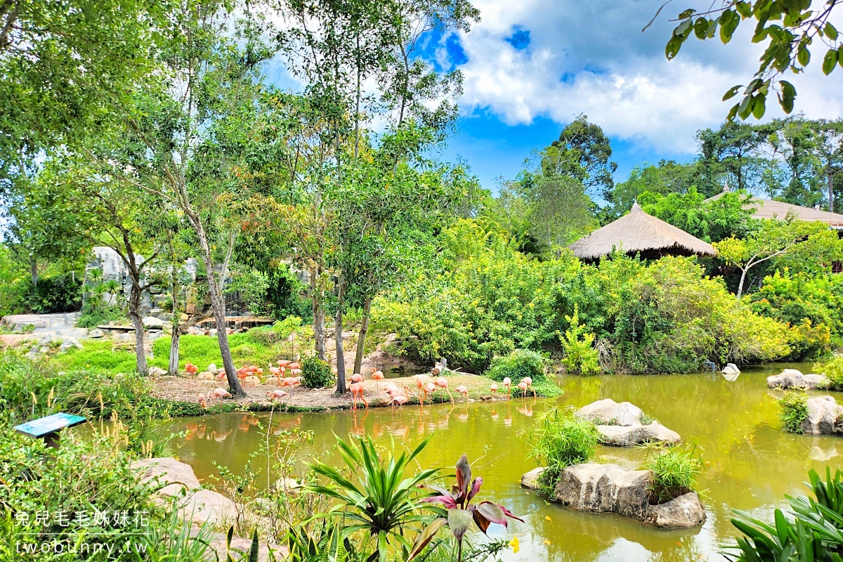 富國島珍珠野生動物園 Vinpearl Safari Phu Quoc｜長頸鹿、環尾狐猴都能近距離餵食 @兔兒毛毛姊妹花