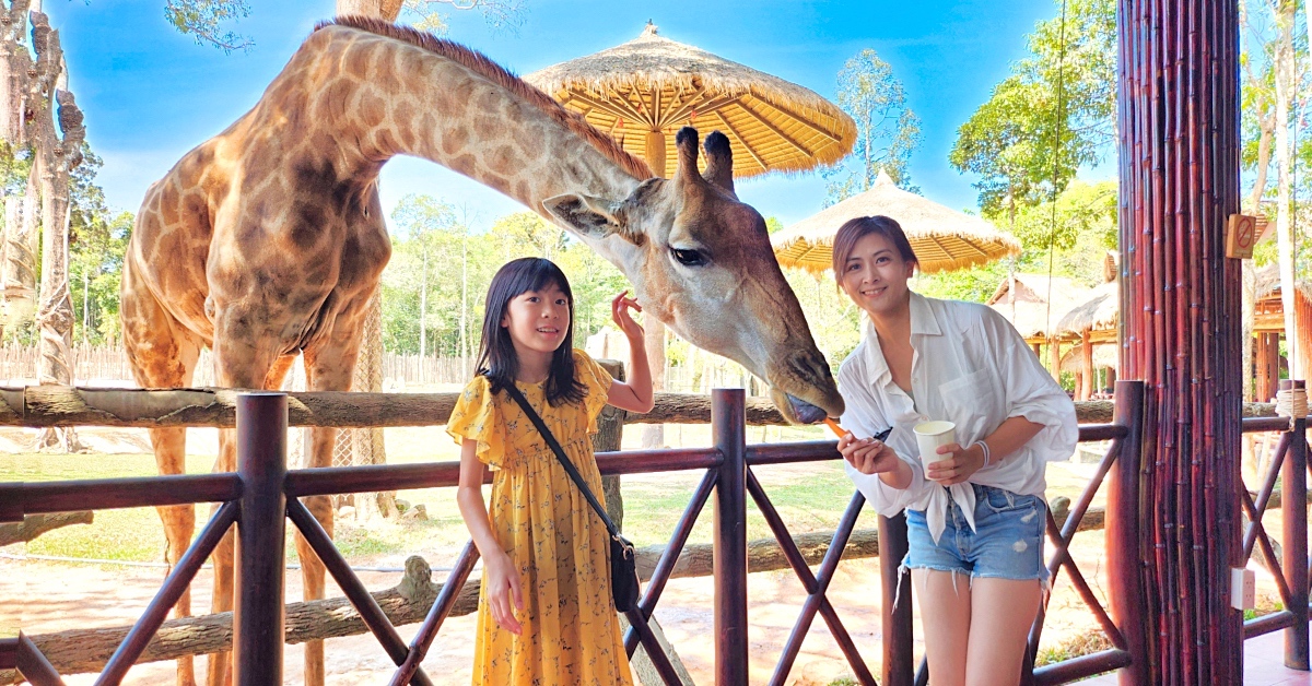 富國島珍珠野生動物園 Vinpearl Safari Phu Quoc｜長頸鹿、環尾狐猴都能近距離餵食 @兔兒毛毛姊妹花