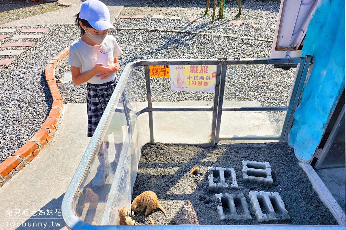 宜蘭三星景點【長埤湖精靈村】長埤湖風景區~穿浴衣、餵動物、暢遊抹茶湖 @兔兒毛毛姊妹花