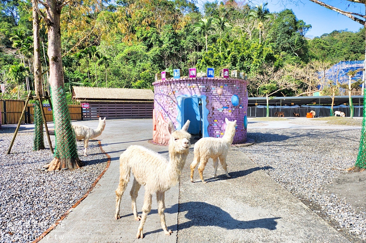 宜蘭三星景點【長埤湖精靈村】長埤湖風景區~穿浴衣、餵動物、暢遊抹茶湖 @兔兒毛毛姊妹花