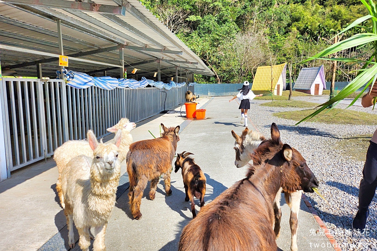 宜蘭三星景點【長埤湖精靈村】長埤湖風景區~穿浴衣、餵動物、暢遊抹茶湖 @兔兒毛毛姊妹花