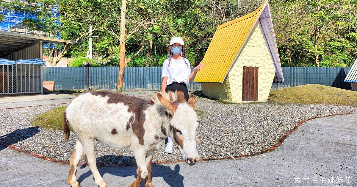 宜蘭動物農場｜超過20個宜蘭餵動物好地方，來和可愛動物親密互動吧～ @兔兒毛毛姊妹花