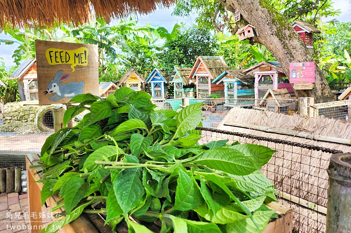 薄荷島景點》南方農場 South Farm Panglao-Bohol～隱藏版大農場，一票到底餵動物、騎馬 @兔兒毛毛姊妹花