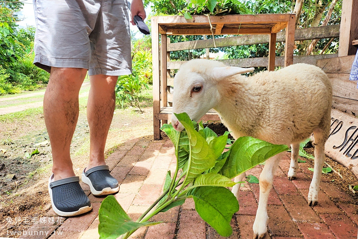 薄荷島景點》南方農場 South Farm Panglao-Bohol～隱藏版大農場，一票到底餵動物、騎馬 @兔兒毛毛姊妹花