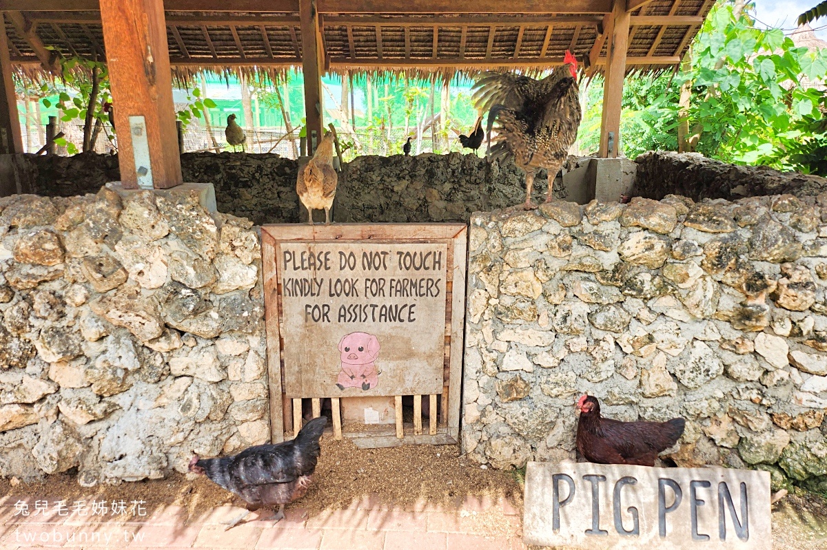 薄荷島景點》南方農場 South Farm Panglao-Bohol～隱藏版大農場，一票到底餵動物、騎馬 @兔兒毛毛姊妹花