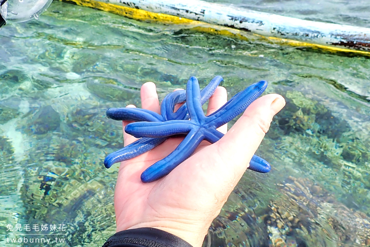 薄荷島跳島》巴里卡薩大斷層 Balicasag Island～世界級珊瑚保護區，超夢浮潛勝地 @兔兒毛毛姊妹花