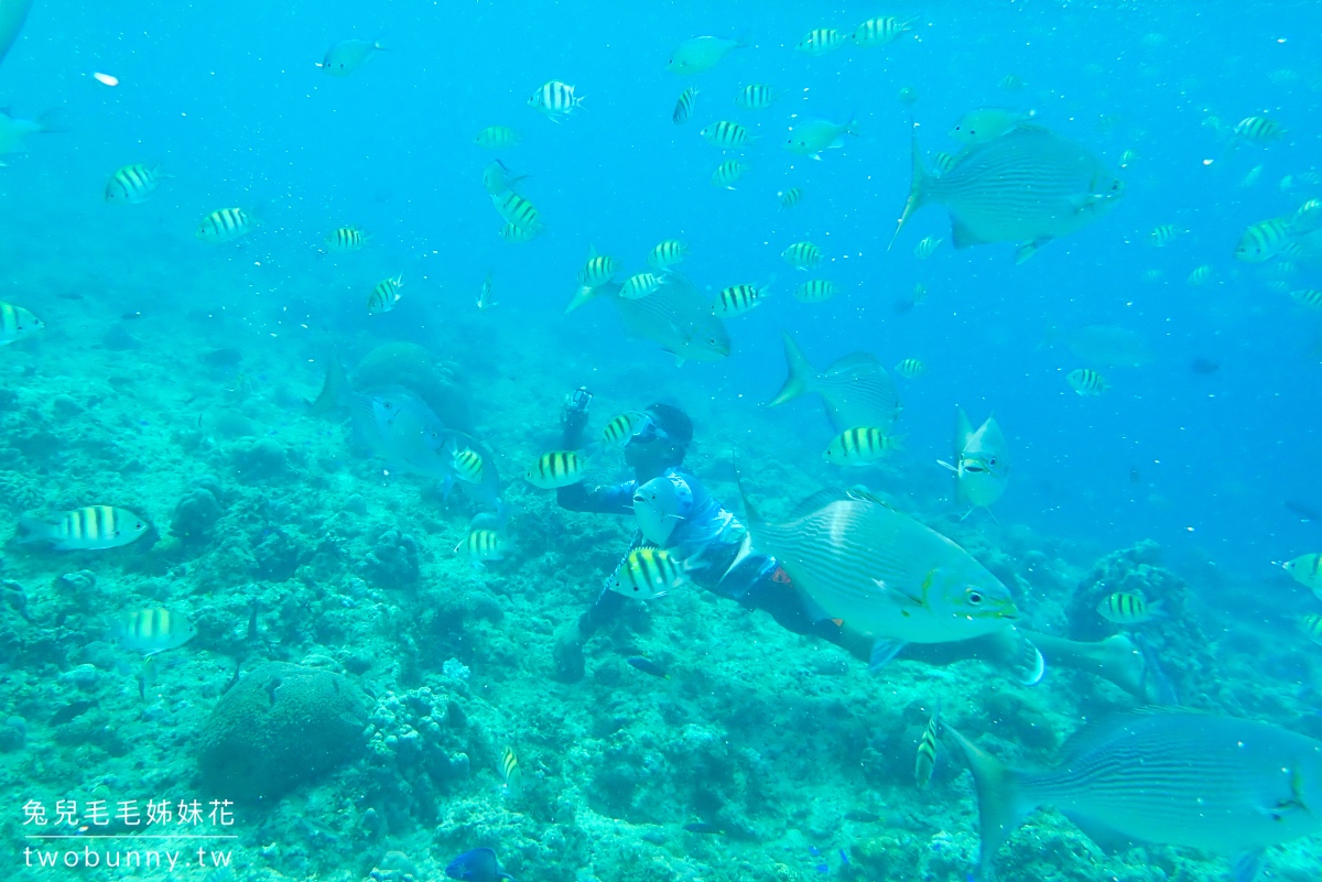 薄荷島跳島》巴里卡薩大斷層 Balicasag Island～世界級珊瑚保護區，超夢浮潛勝地 @兔兒毛毛姊妹花