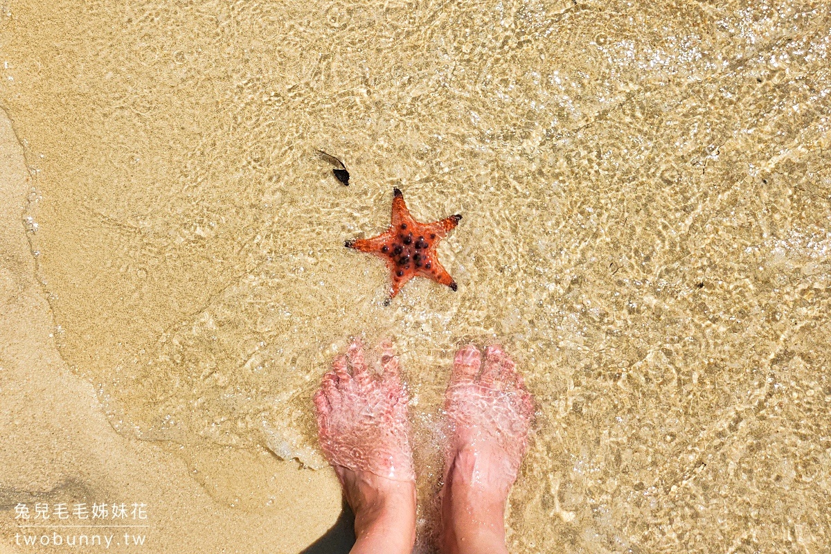 富國島海星沙灘 Starfish Beach｜放眼望去都是大紅海星的秘境沙灘 @兔兒毛毛姊妹花