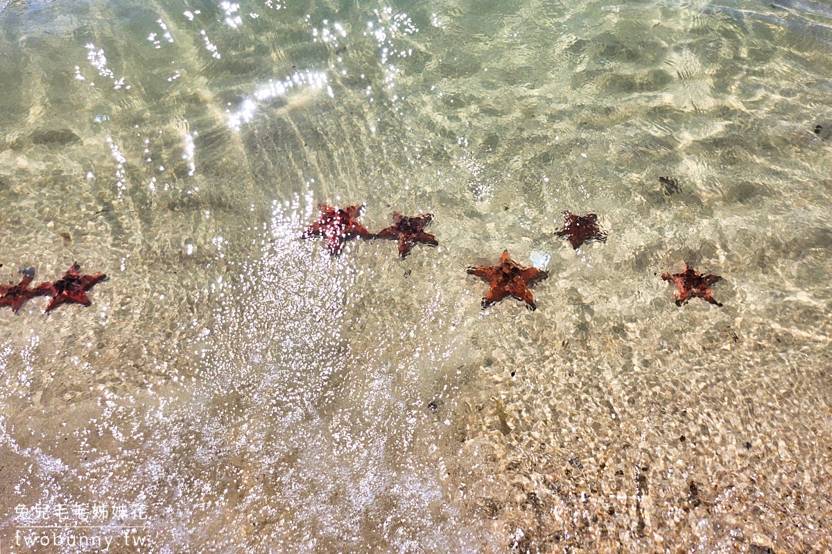富國島海星沙灘 Starfish Beach｜放眼望去都是大紅海星的秘境沙灘 @兔兒毛毛姊妹花