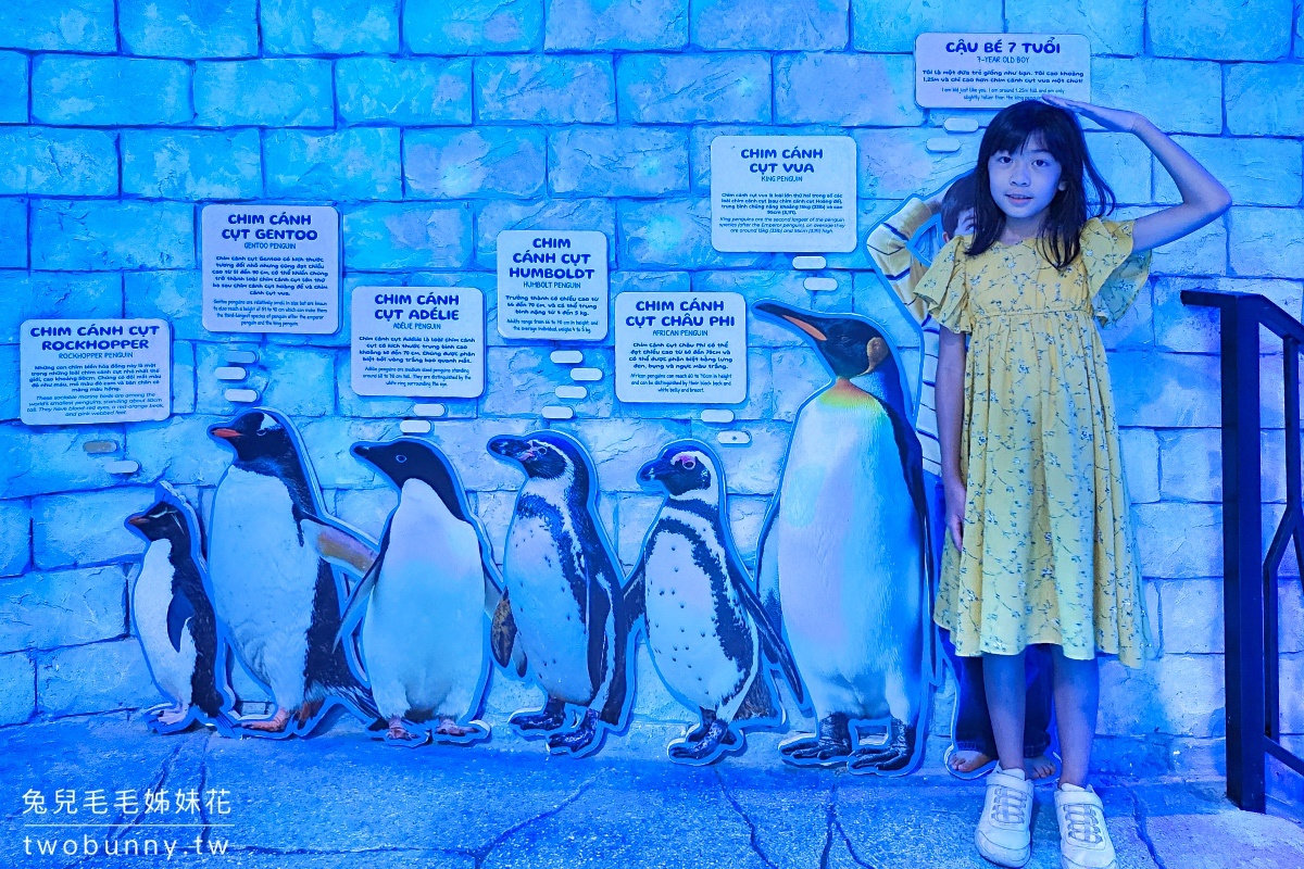 富國島大海龜水族館｜珍珠奇幻樂園 the Sea Shell 美人魚秀、海底隧道、室內遊戲區好好玩 @兔兒毛毛姊妹花