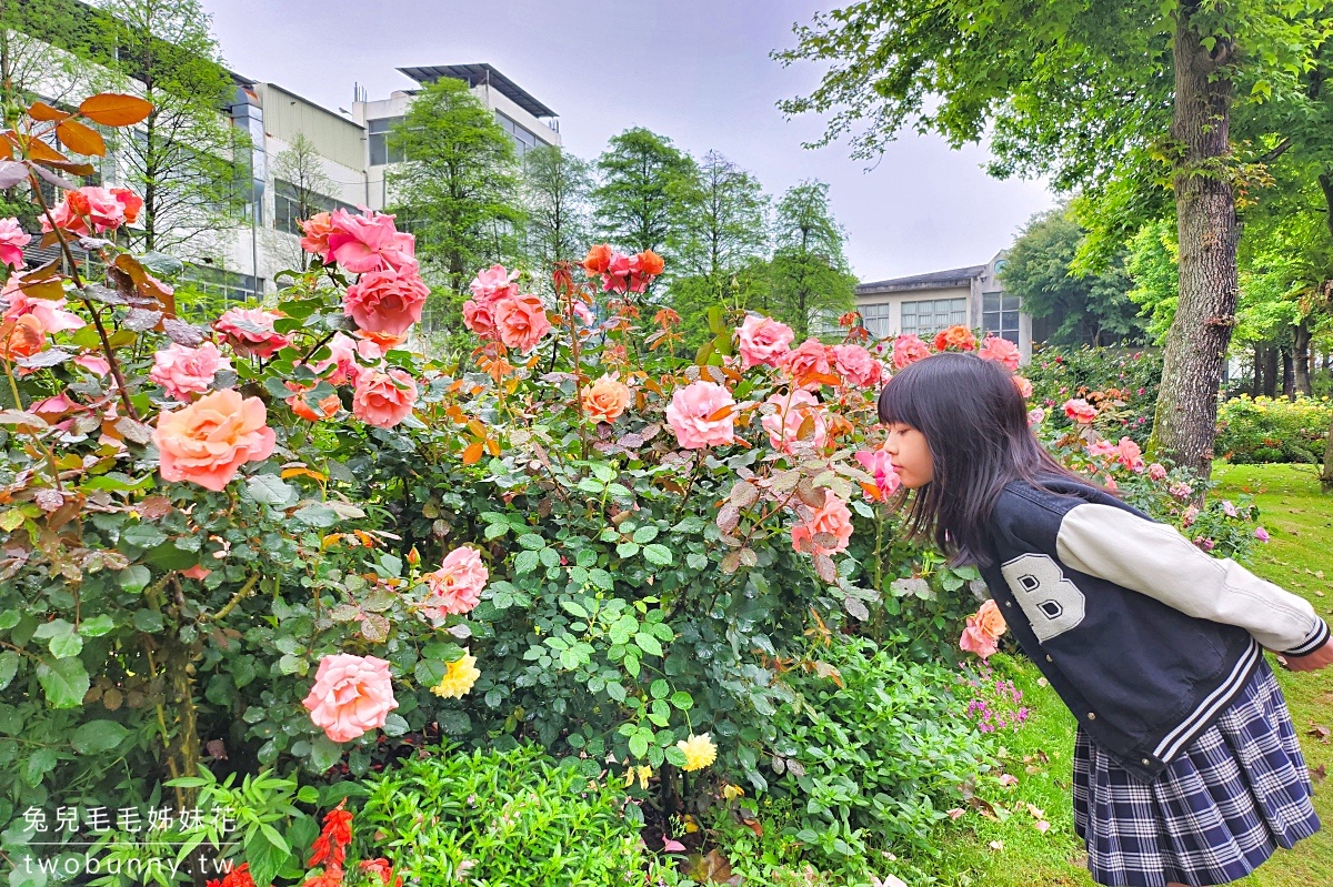 雅聞魅力博覽館｜桃園免費景點～浪漫玫瑰花園免費拍!! 還有溫室餐廳、香氛DIY @兔兒毛毛姊妹花